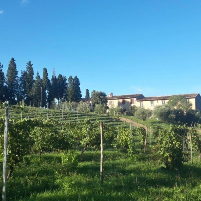 Fattoria le Caprine - Appartamento con 1 Camera da Letto e Vista Giardino - 12