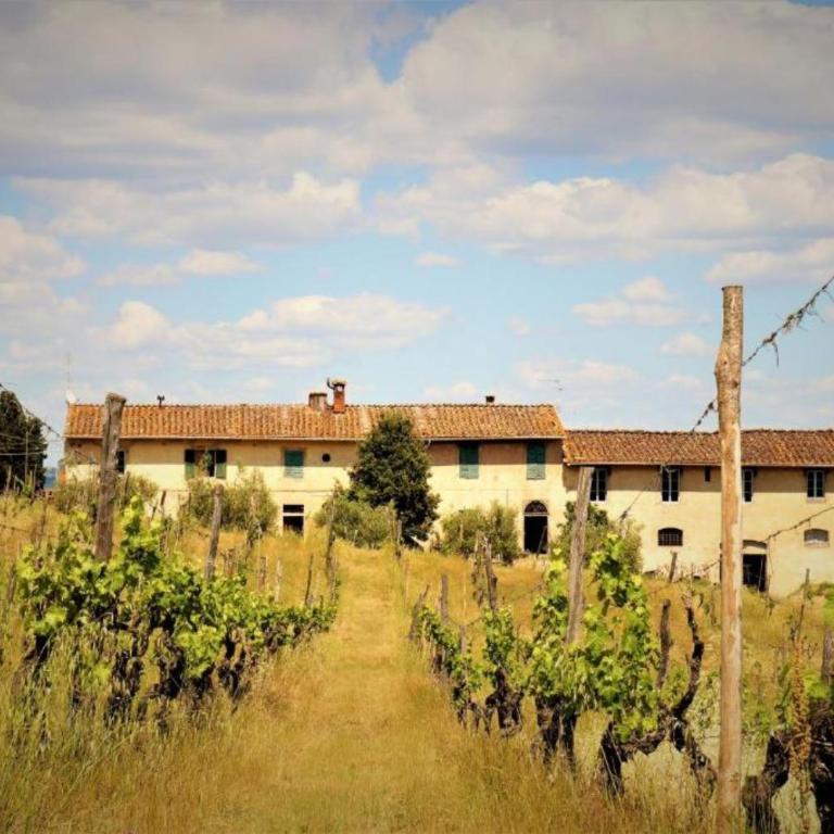 Fattoria le Caprine - Appartamento con 1 Camera da Letto e Vista Giardino - 10