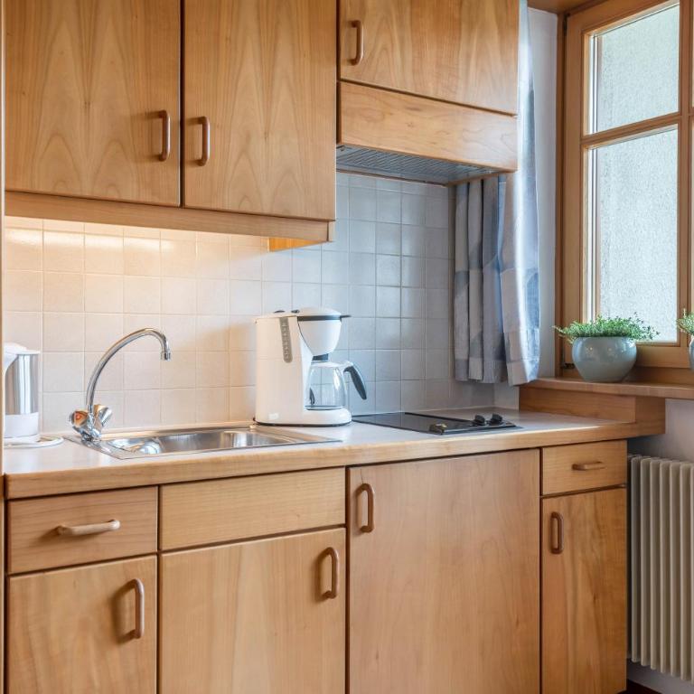 Taufner Apartement A 105 - Estudio con vistas a las montañas - 3