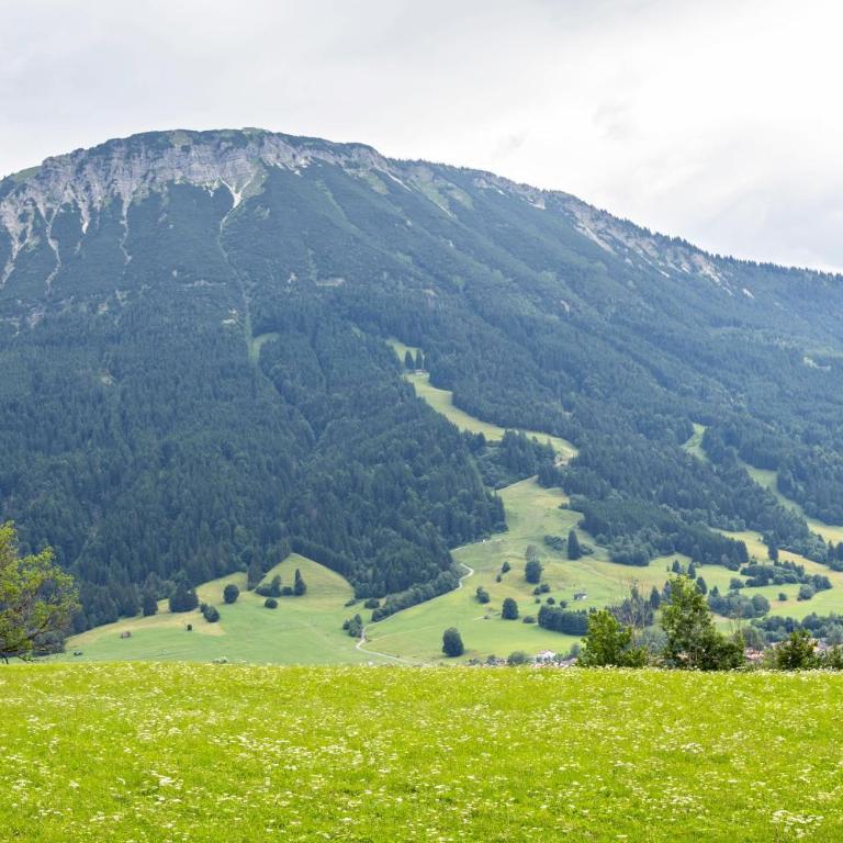 Allgäuappartement In Pfronten - Studio mit Bergblick - 14