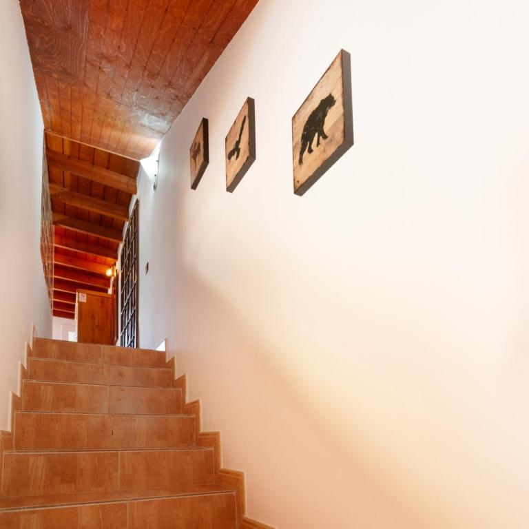 Apt Rural Zona Céntrica Isla - Apartamento de 1 dormitorio con vistas al jardín - 8