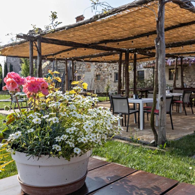 Agricamping Mabellini Orlando - Appartamento con Terrazza - 10