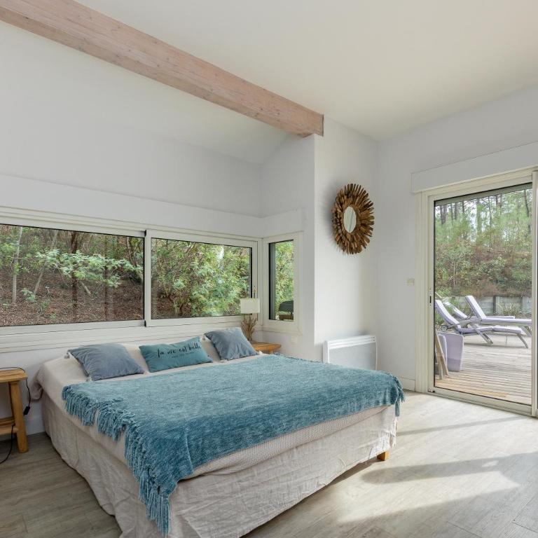 Pin Bleu - Maison de Vacances - 9