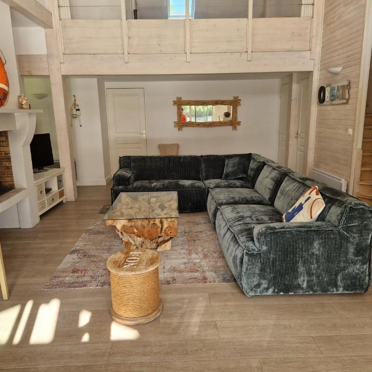 Pin Bleu - Maison de Vacances - 2