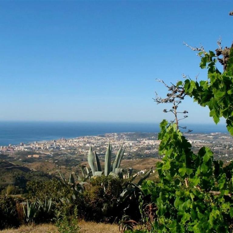 Spectacular Country Retreat - Villa con vistas al mar - 34