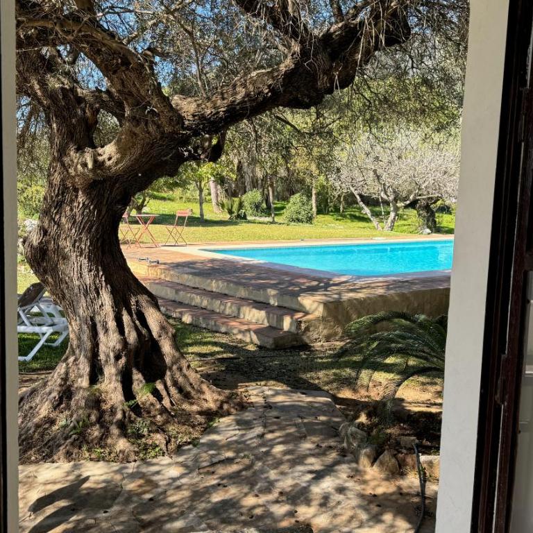 Spectacular Country Retreat - Villa con vistas al mar - 18
