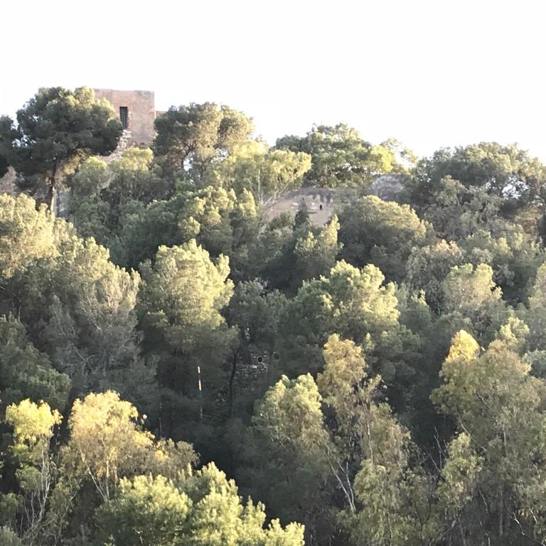 In Love Malaga City Center - Apartamento Superior de 1 dormitorio con balcón - 45