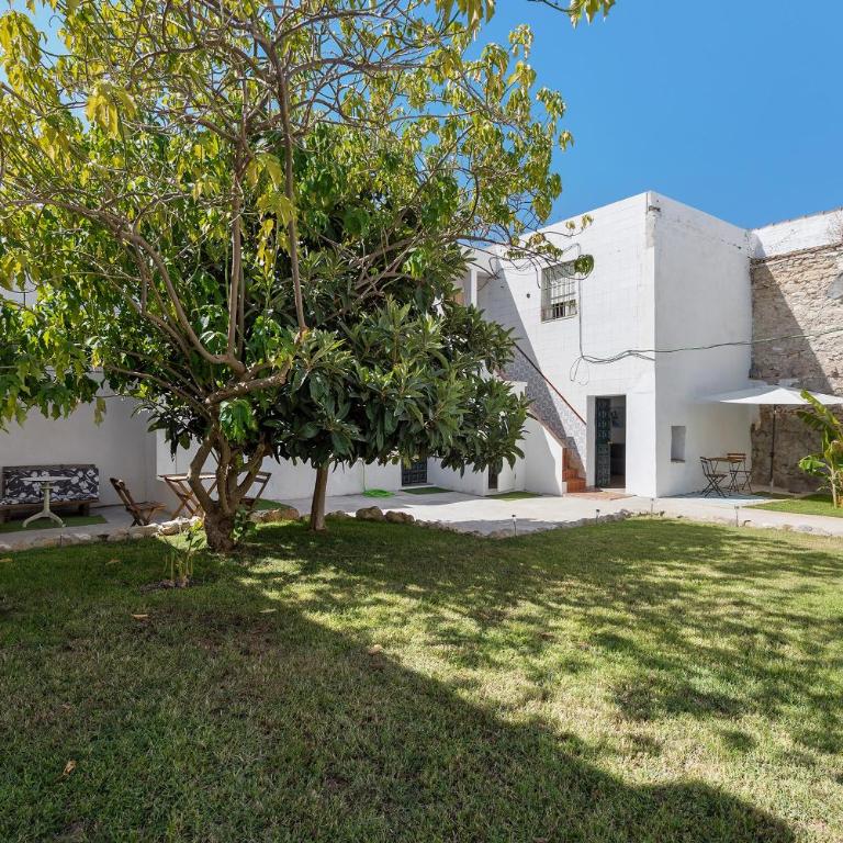Obispo Rancés 12 C - Casa con 1 dormitorio - 21