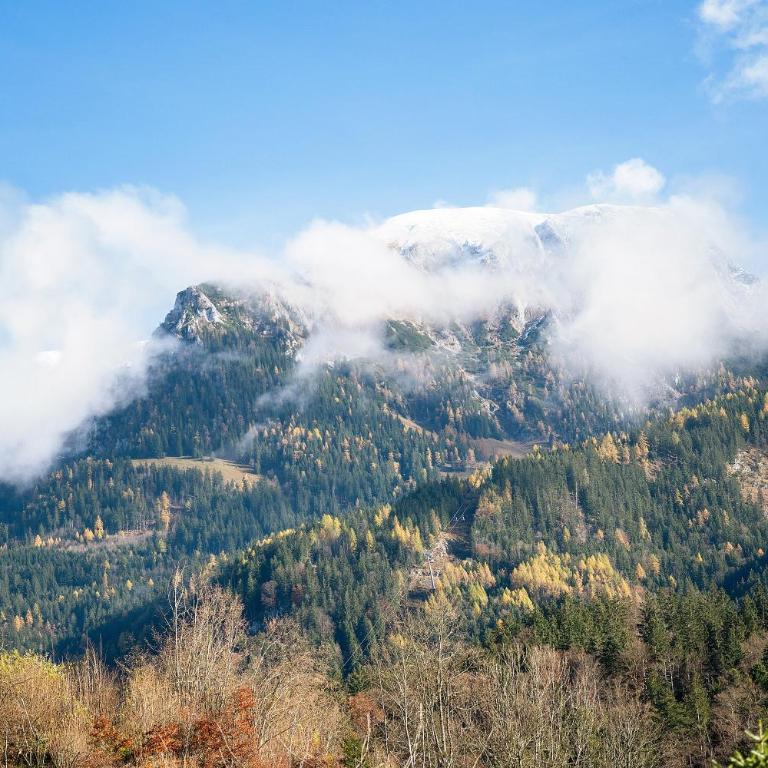 Haus am See - Wohnung Königssee - Apartment mit 1 Schlafzimmer und Seeblick - 30