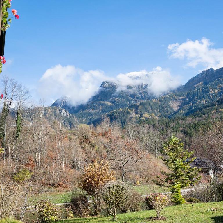 Haus am See - Wohnung Königssee - Apartment mit 1 Schlafzimmer und Seeblick - 5