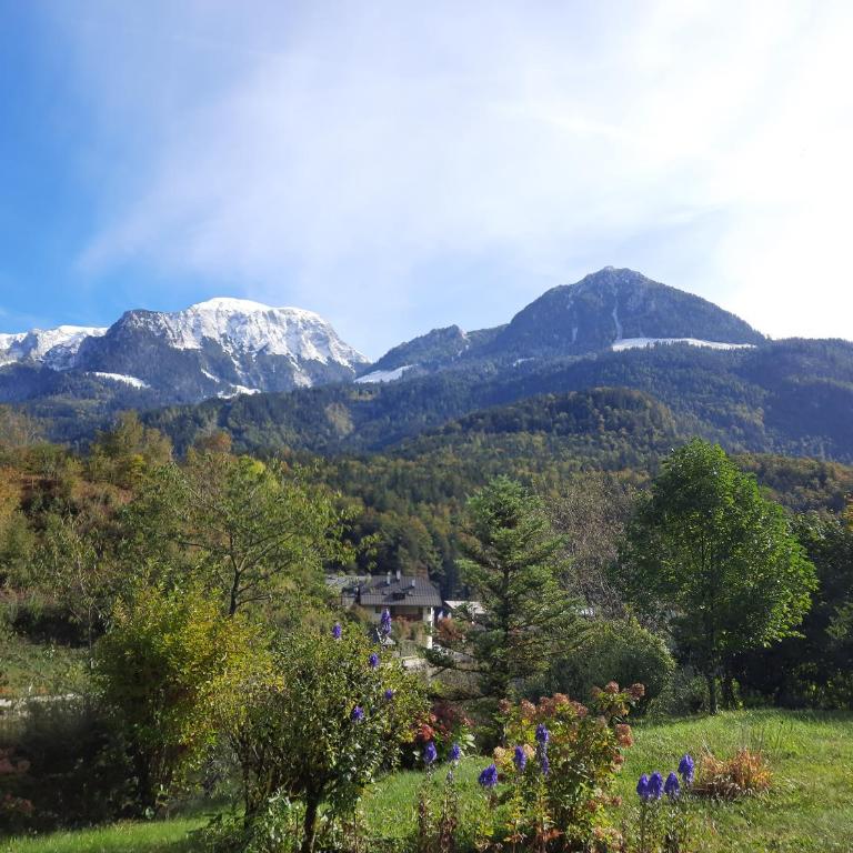 Haus am See - Wohnung Königssee - Apartment mit 1 Schlafzimmer und Seeblick - 35