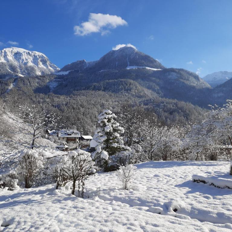 Haus am See - Wohnung Königssee - Apartment mit 1 Schlafzimmer und Seeblick - 33