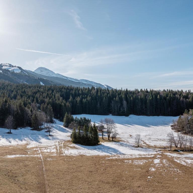 Métamorphose Au Sommet - Studio - Vue sur Montagne - 21
