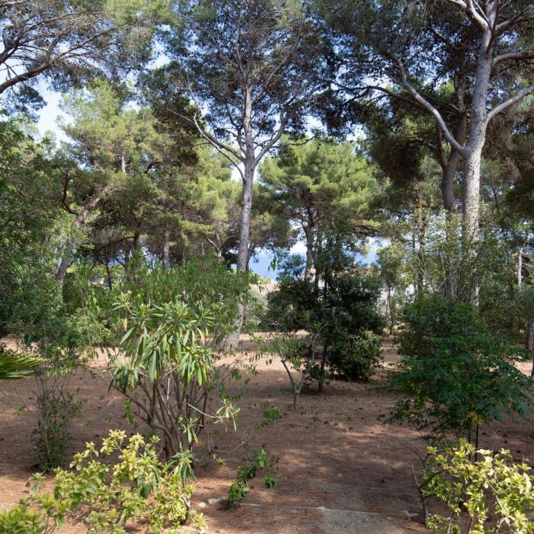 Ca la Irene II - Two-Bedroom House - 19