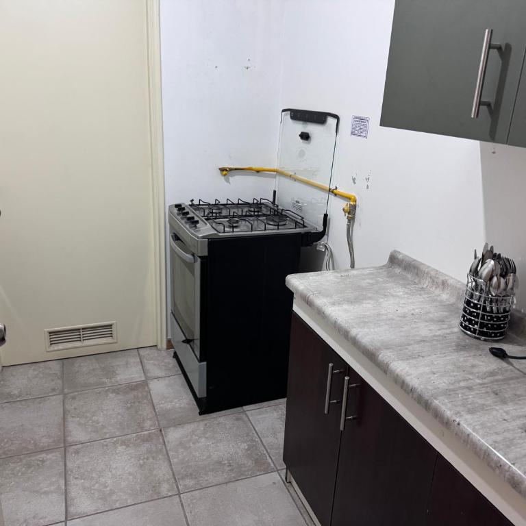 Puerta sur - One-Bedroom Apartment - 5