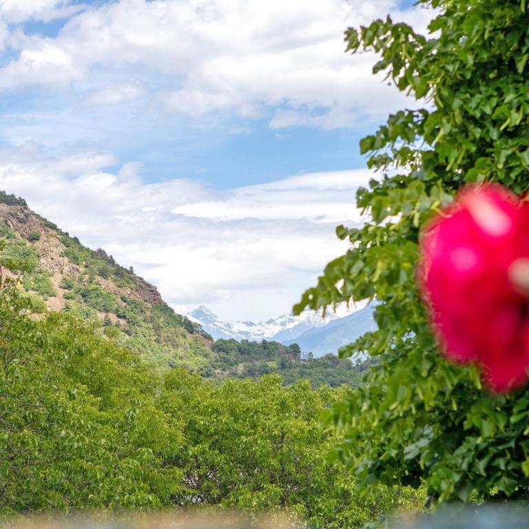 Nel Cuore della Via Francigena - Studio with Mountain View - 20