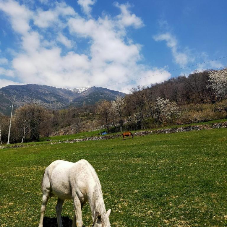 Nel Cuore della Via Francigena - Studio with Mountain View - 24