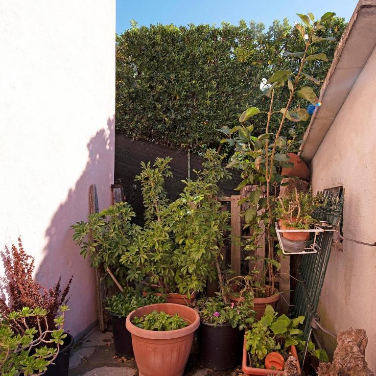 Villetta Rosa - Casa de 2 dormitorios - 25