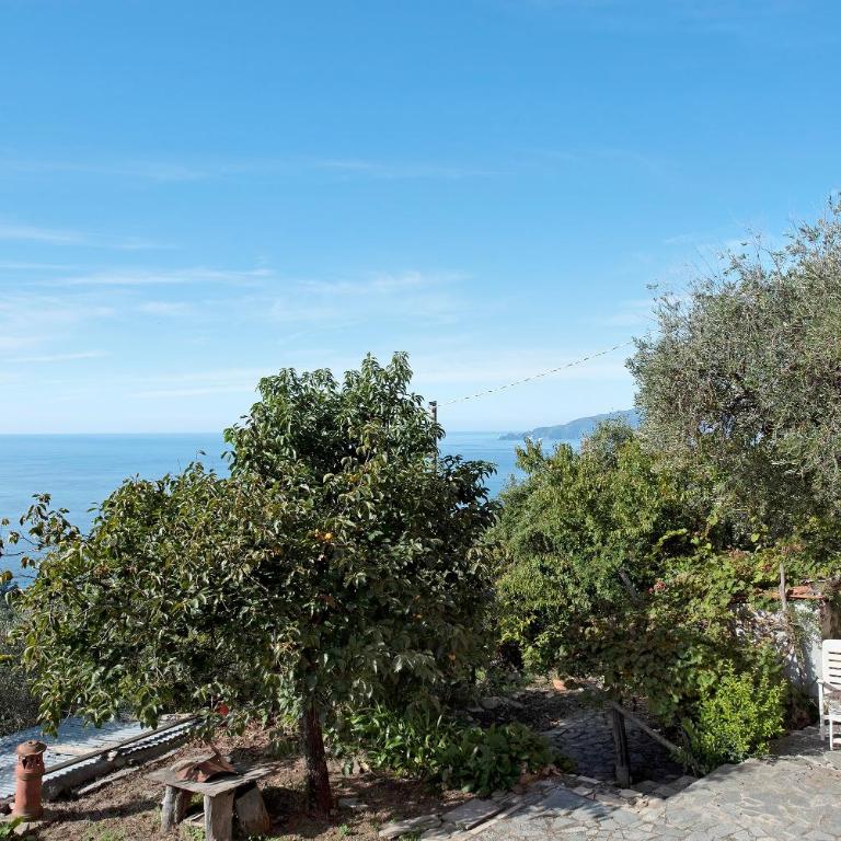 Villetta Rosa - Casa de 2 dormitorios - 19