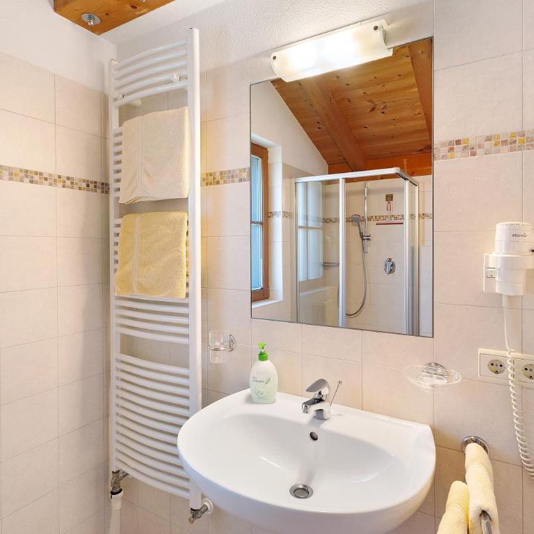 Steineggerhof - Appartamento Superior con 1 Camera da Letto e Balcone - 15
