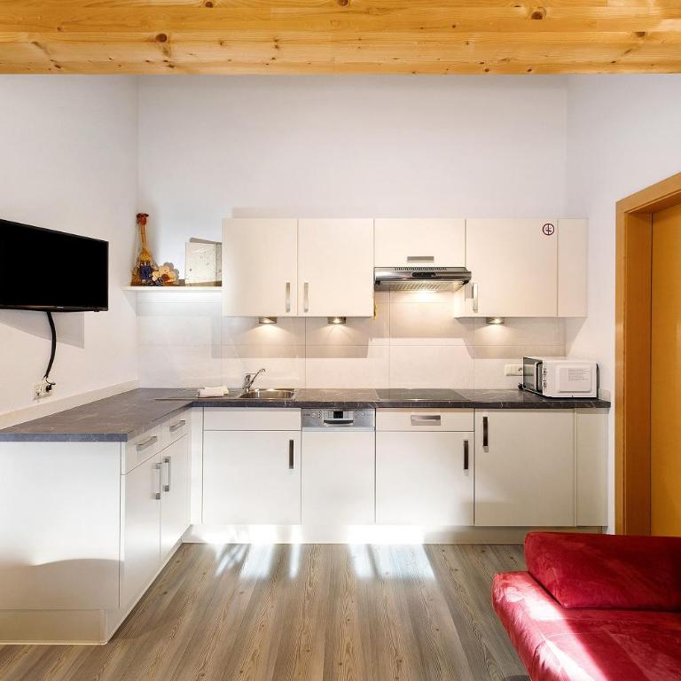 Steineggerhof - Appartamento Superior con 1 Camera da Letto e Balcone - 12
