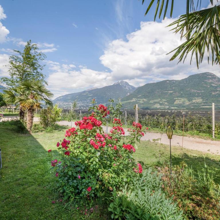 Apartment Das Eckige - Appartamento Deluxe con 2 Camere da Letto e Vista Giardino - 24