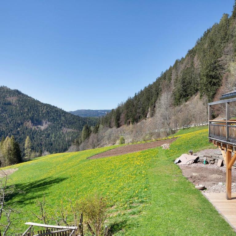 Pitschlhof Apt Zirbe - Appartamento Superior con 1 Camera da Letto e Balcone - 26