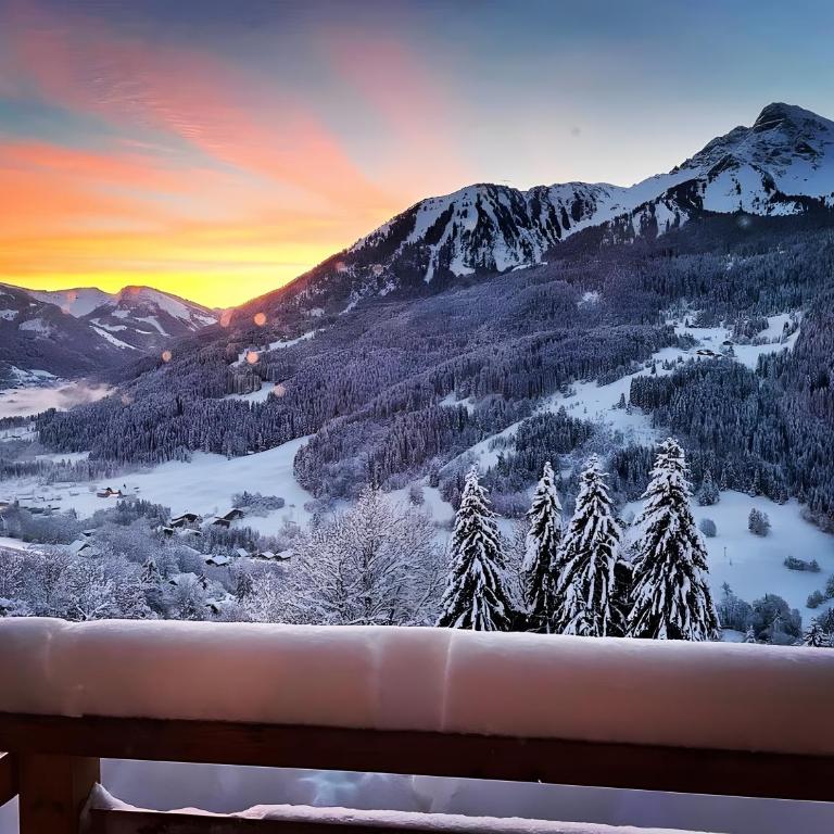Le Perray Alpine Lodge - Chalet - 39