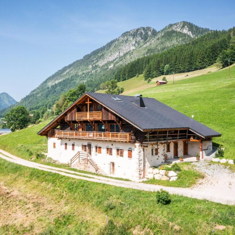 Le Perray Alpine Lodge - Chalet - 35