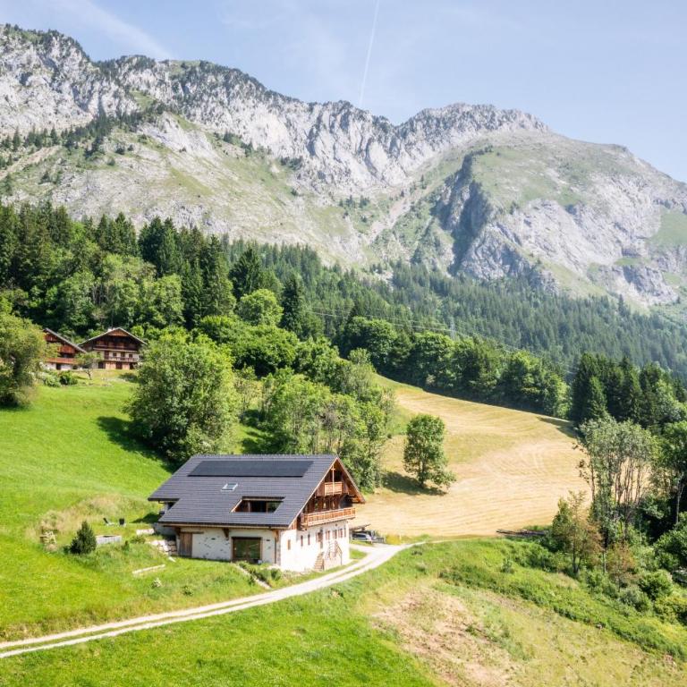 Le Perray Alpine Lodge - Chalet - 37