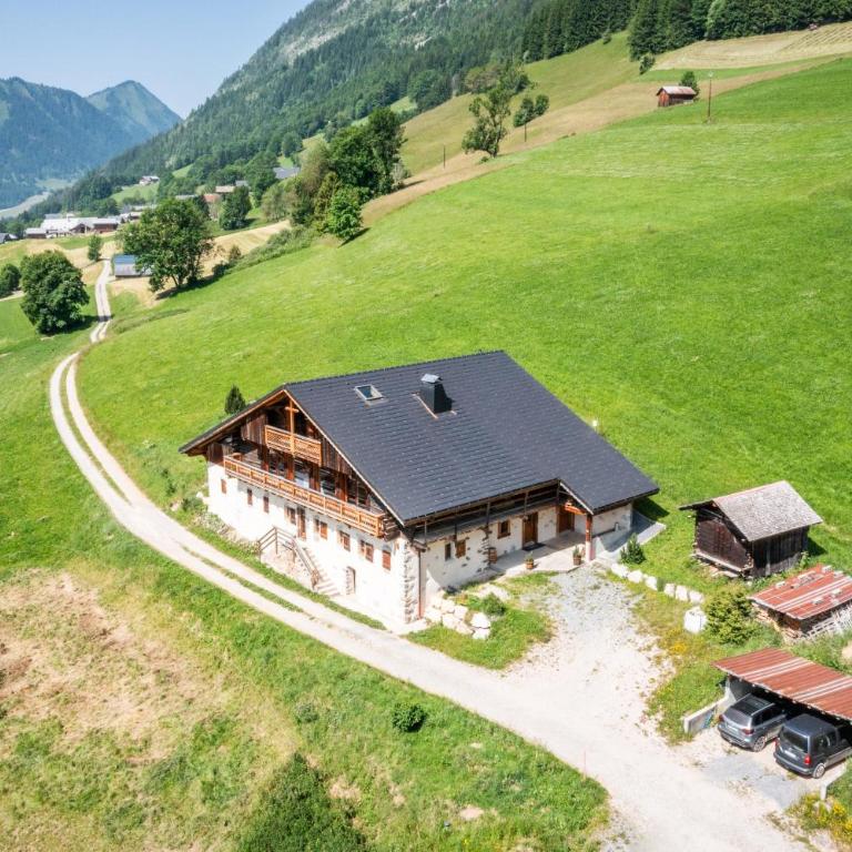 Le Perray Alpine Lodge - Chalet - 36