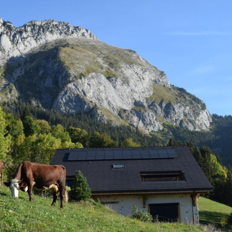 Le Perray Alpine Lodge - Chalet - 40