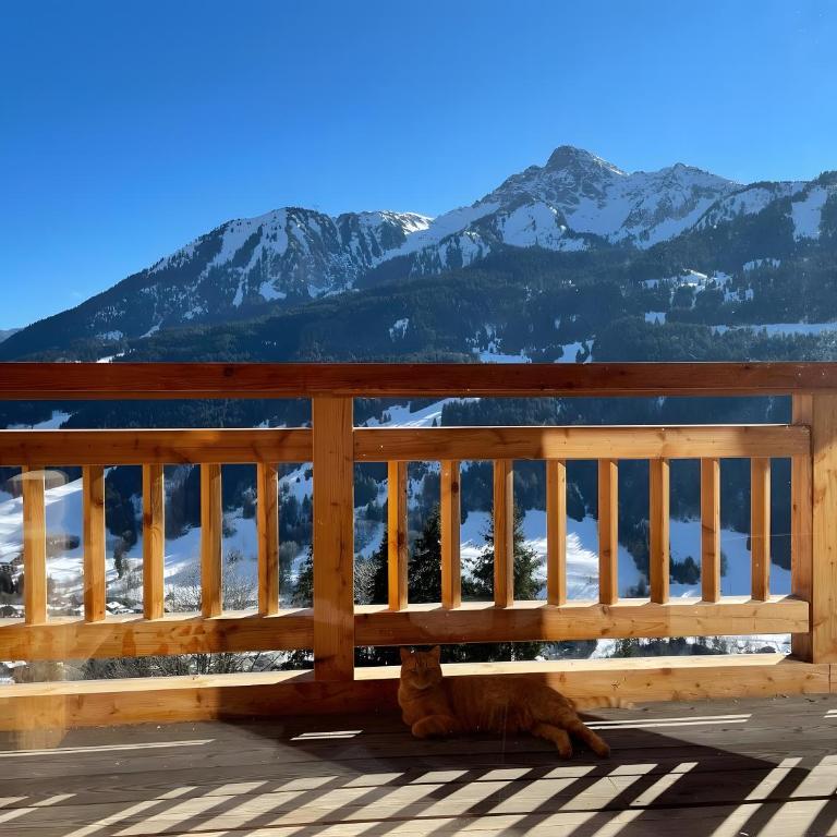 Le Perray Alpine Lodge - Chalet - 34