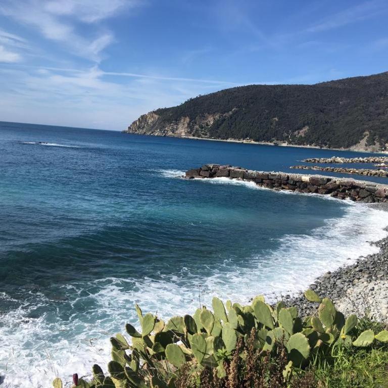 Moneglia Mare - Casa con 2 Camere da Letto - 9