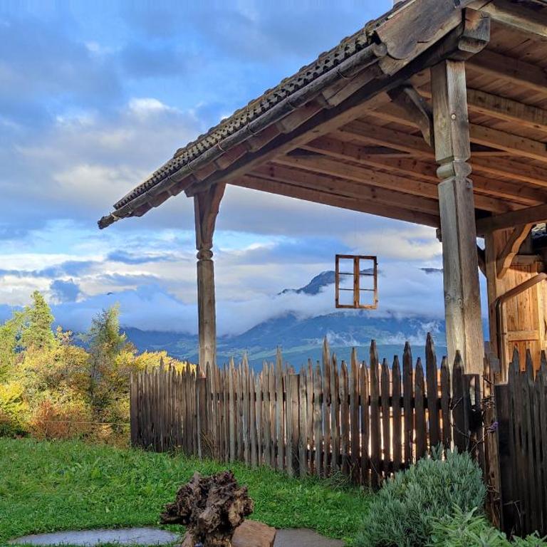 Aschnerhof Holzherz - Appartamento Superior con 1 Camera da Letto e Balcone - 5