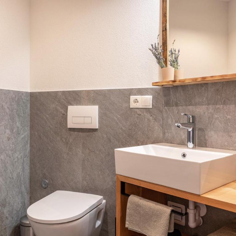Aschnerhof Holzherz - Appartamento Superior con 1 Camera da Letto e Balcone - 22