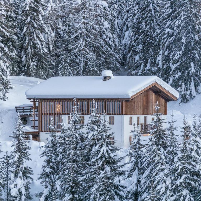 Tannhäuser Mountain Chalet - Chalet - 29