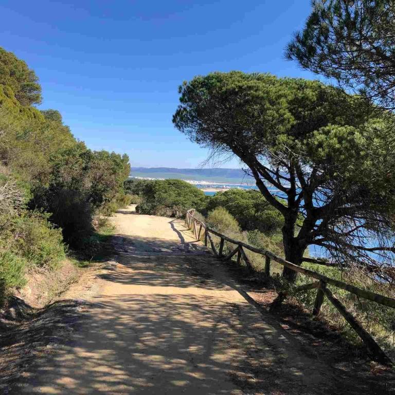 Apartamento Calderon - Apartamento Estudio con vistas al mar - 23