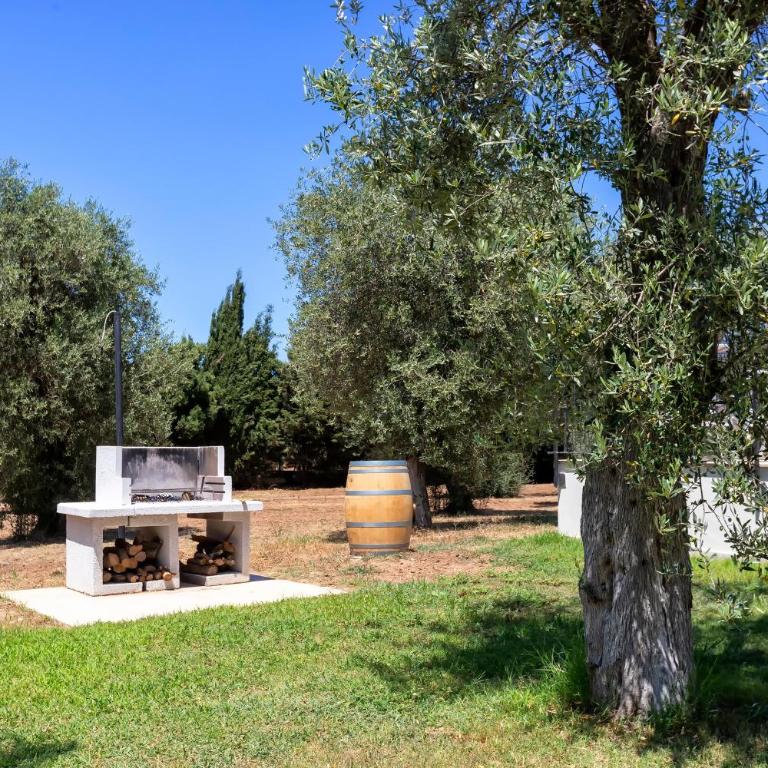 Villa Olivetta con piscina - Villa con Vista Giardino - 43