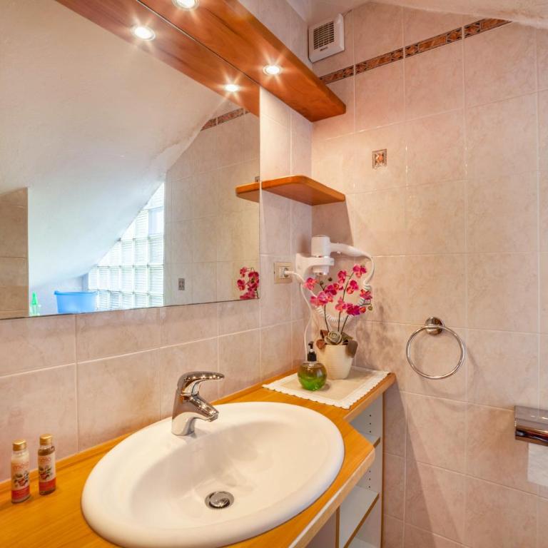Adang Ferienwohnung Etschtal - Appartamento Superior con 1 Camera da Letto e Balcone - 4