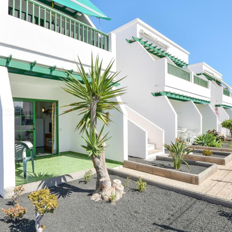 Mimosa B1 - Apartment with Terrace - 3