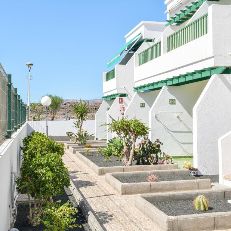 Mimosa B1 - Apartment with Terrace - 17