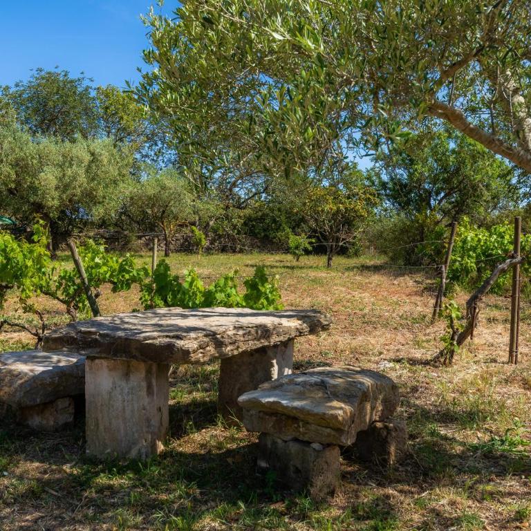 Sa Creu De Saume - Villa con vistas al jardín - 35