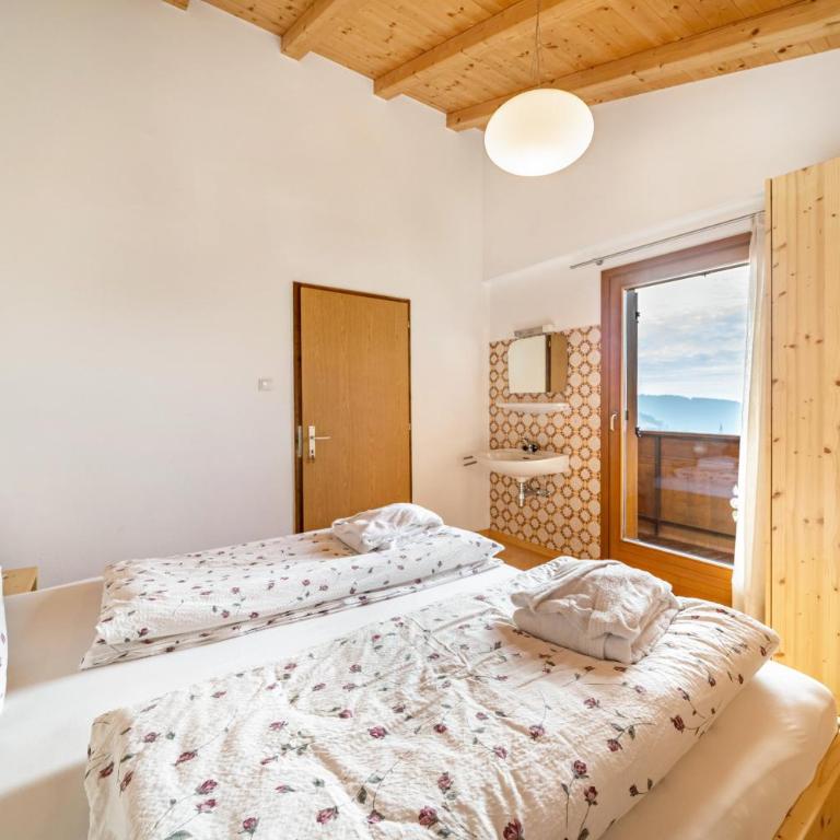 Eggerhof Familienparadies - Two-Bedroom Deluxe Apartment with Balcony - 5