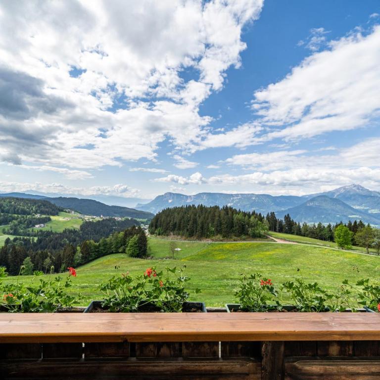 Rotsteinhof Ferienwohnung Abendrot - Apartamento Superior de 1 dormitorio con balcón - 15