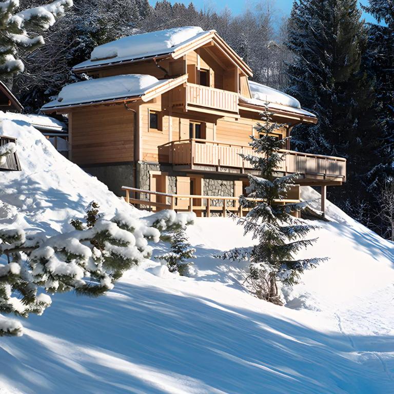 Chalet Fnire - Chalet 3 Chambres - 1