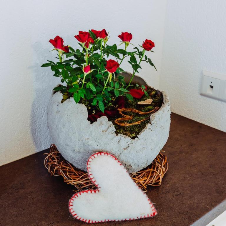 Ausserglieshof Wohnung Weißkugel - Apartamento Deluxe de 2 dormitorios con vistas al jardín - 11