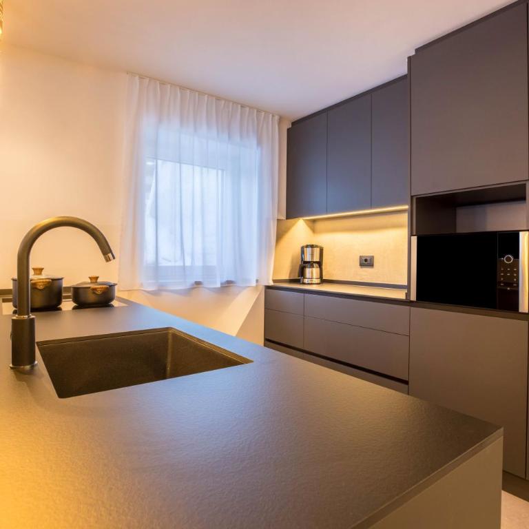 Apartments Armeri Black Dolomites - Appartamento Superior con 1 Camera da Letto e Balcone - 7