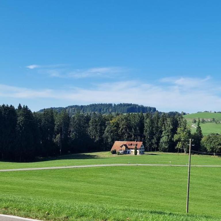 Landhaus Moos - Apartment mit Terrasse - 33