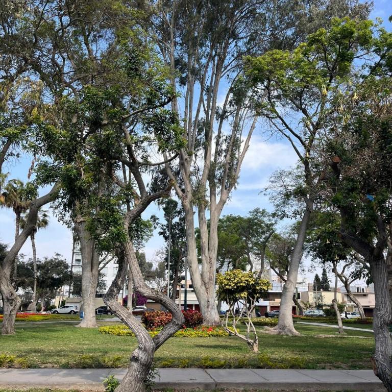 El Helecho Surco, in front of Barranco and Miraflores - Three-Bedroom Apartment - 8